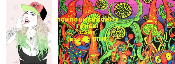 PSILOCYBIN Вязники