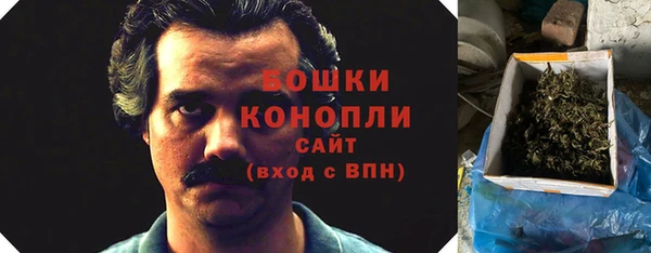мдпв Волосово