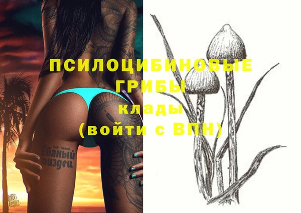дживик Вяземский