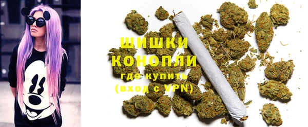 мдпв Волосово