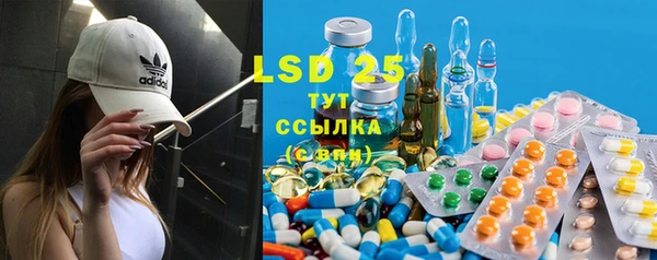 PSILOCYBIN Вязники