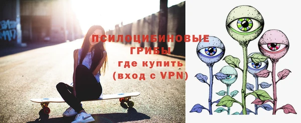 PSILOCYBIN Вязники