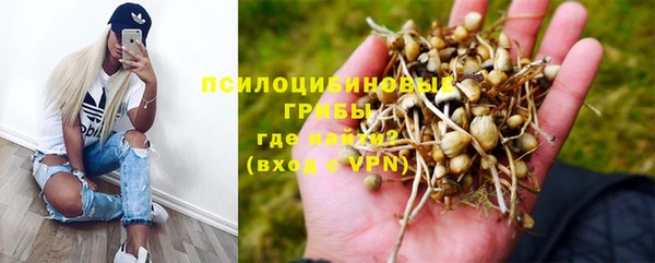 мдпв Волосово