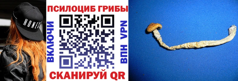 Галлюциногенные грибы мухоморы  Чистополь 